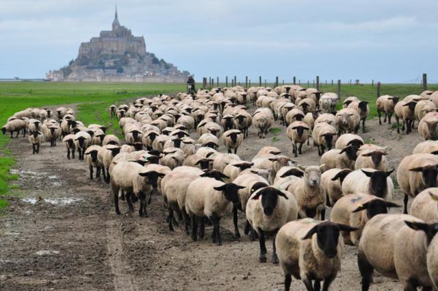 B&B La Rive - Le Mont Saint Michel Ardevon Exteriör bild